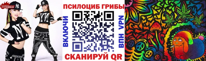где купить   Талица  Псилоцибиновые грибы ЛСД 